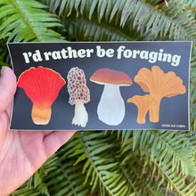 Load image into Gallery viewer, Coastal Haze Stickers
