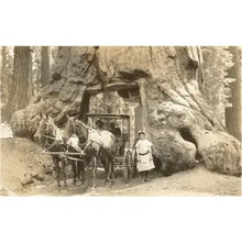 Load image into Gallery viewer, Vintage Art Prints
