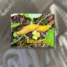 Load image into Gallery viewer, Humboldt Magnets