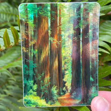 Load image into Gallery viewer, Coastal Haze Stickers