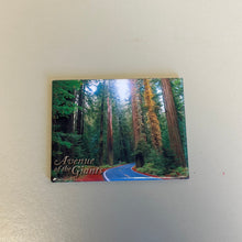 Load image into Gallery viewer, Humboldt Magnets