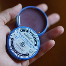 Load image into Gallery viewer, Salve Lip Balm Tins