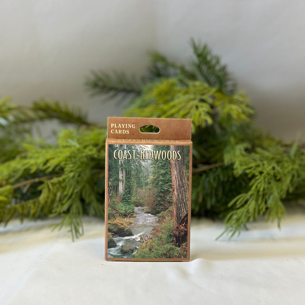 Coast Redwoods Playing Cards