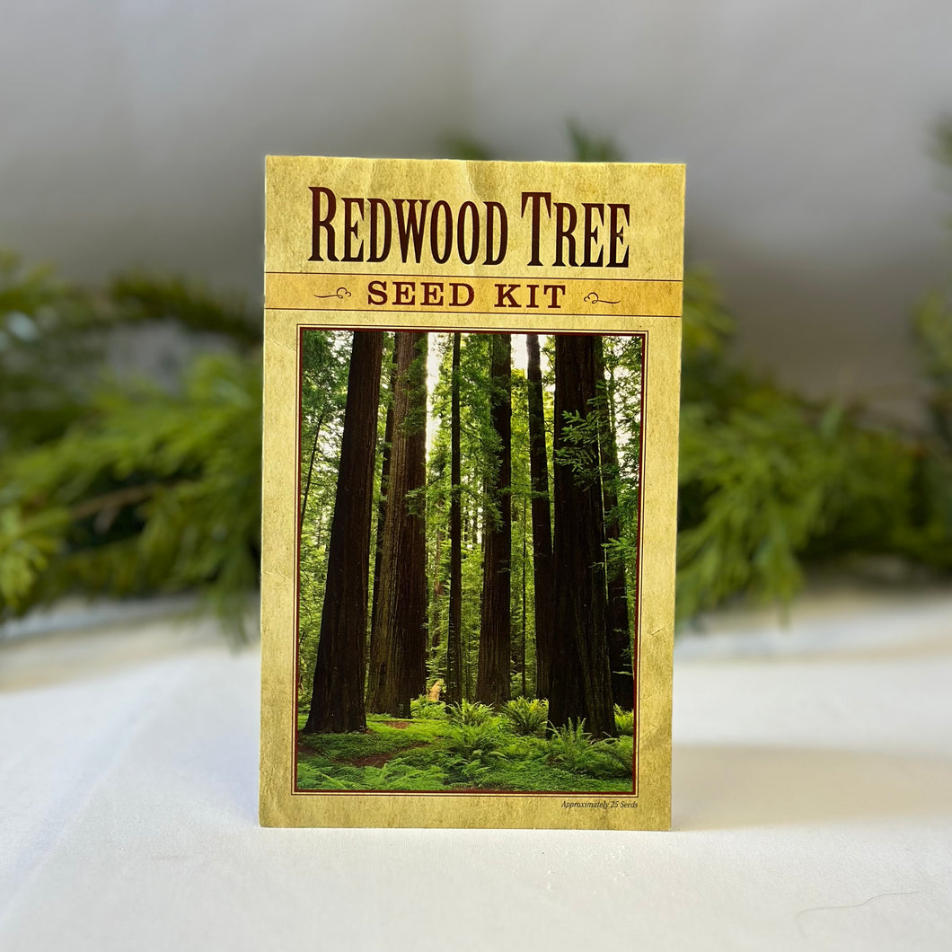 Redwood Tree Seed Kit