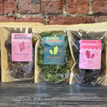 Load image into Gallery viewer, Sunken Seaweed