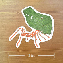 Load image into Gallery viewer, Vinyl Stickers by Lynn-oleum