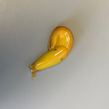 Load image into Gallery viewer, Humboldt Magnets