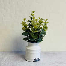 Load image into Gallery viewer, Faux Herbs in Distressed Pot