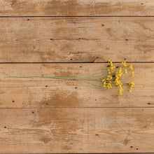 Load image into Gallery viewer, Yellow Baby's Breath Spray