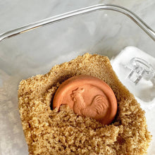Load image into Gallery viewer, Brown Sugar Saver