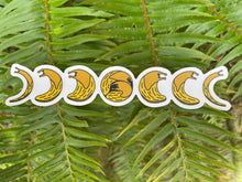 Load image into Gallery viewer, Coastal Haze Stickers