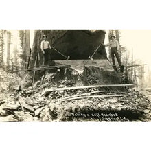 Load image into Gallery viewer, Vintage Art Prints