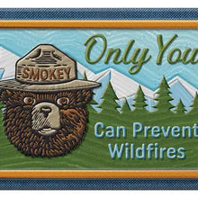 Load image into Gallery viewer, Vintage Magnets