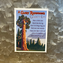 Load image into Gallery viewer, Humboldt County Themed Magnets