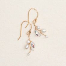 Load image into Gallery viewer, Holly Yashi Earrings