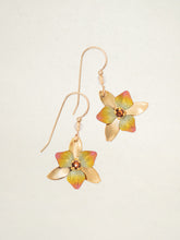 Load image into Gallery viewer, Holly Yashi Earrings