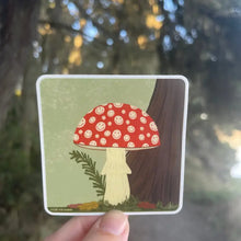 Load image into Gallery viewer, Coastal Haze Stickers