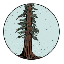 Load image into Gallery viewer, Magnets By Pen + Pine