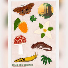 Load image into Gallery viewer, Coastal Haze Stickers