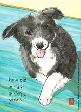 Load image into Gallery viewer, Makino Studios Greeting Cards