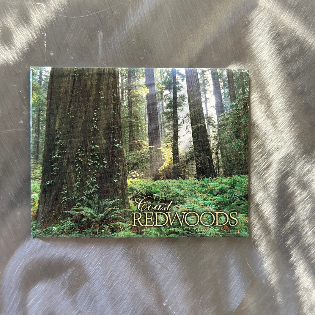 Humboldt Magnets