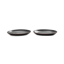 Load image into Gallery viewer, Enamel Plate (Set of 2)
