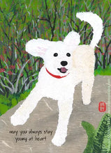Load image into Gallery viewer, Makino Studios Greeting Cards
