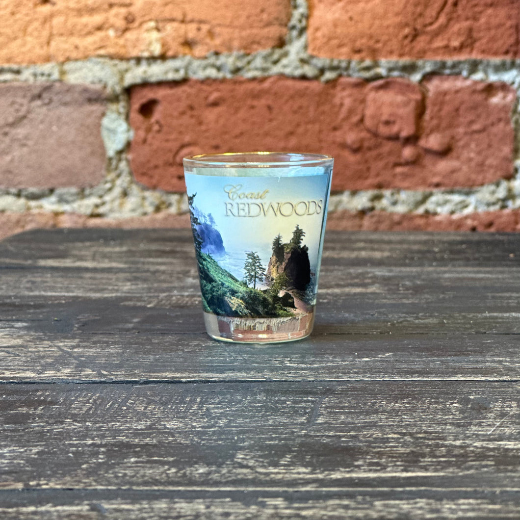 Coast Redwoods Shot Glass