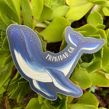 Load image into Gallery viewer, Coastal Haze Stickers
