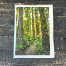 Load image into Gallery viewer, Jimmy Callian Photography Greeting Cards
