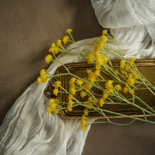 Load image into Gallery viewer, Yellow Baby&#39;s Breath Spray
