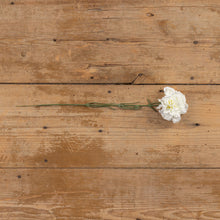 Load image into Gallery viewer, White Carnation Spray
