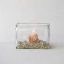Load image into Gallery viewer, Snail Shaped Candle

