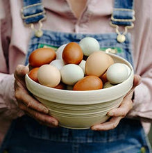 Load image into Gallery viewer, Gardening With Chickens: Planning, Planting, and Harvesting
