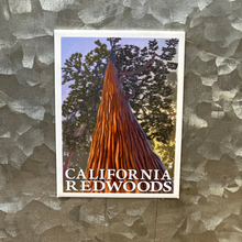 Load image into Gallery viewer, Humboldt County Themed Magnets
