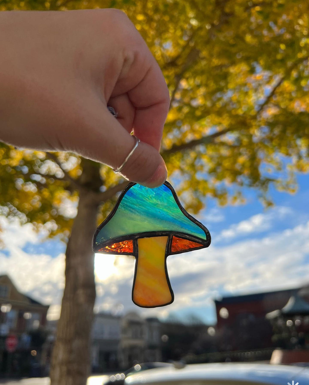 Colleen Clifford Stained Glass Mushroom