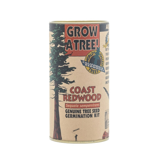 Coastal Redwood Seed Kit