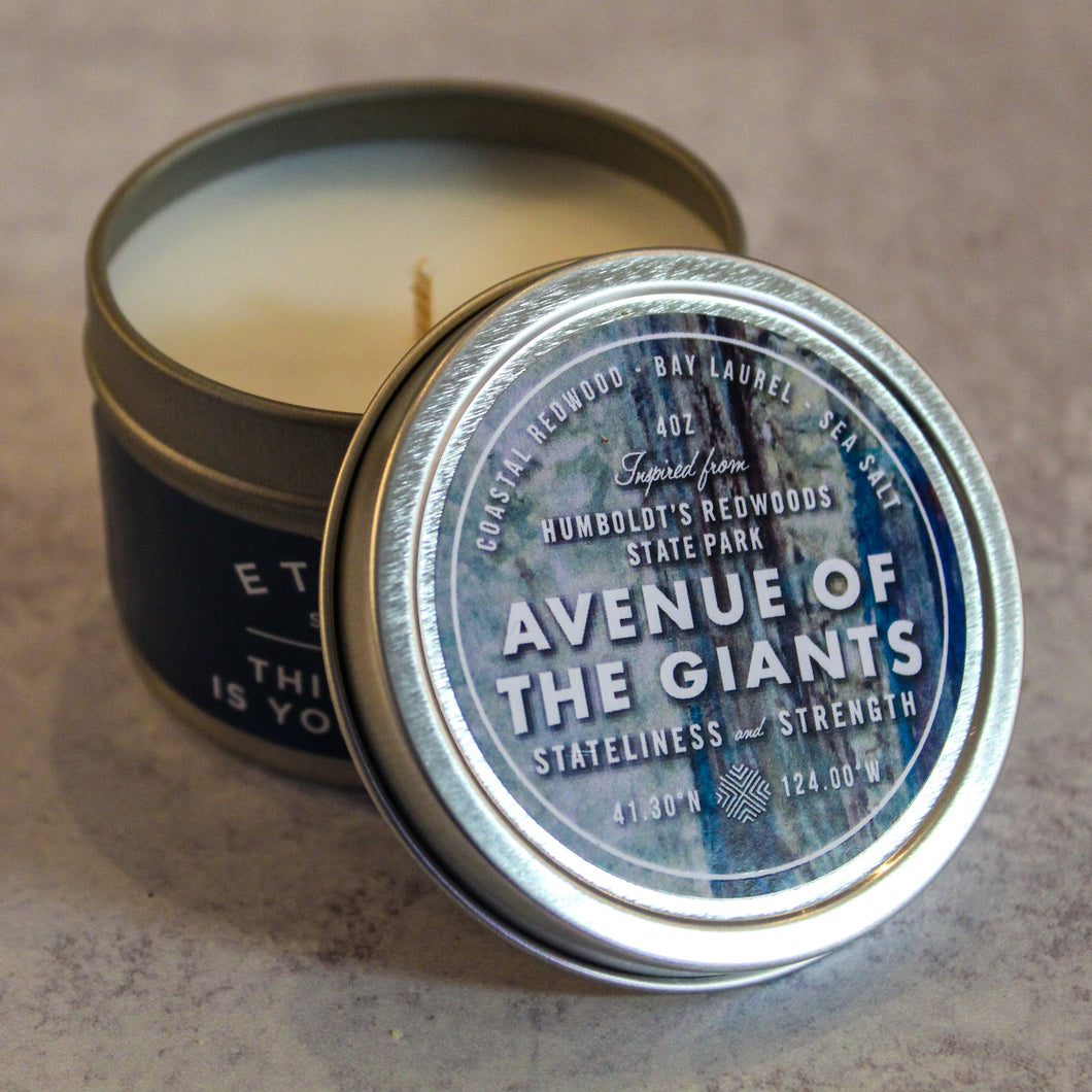 Avenue of The Giants Candle