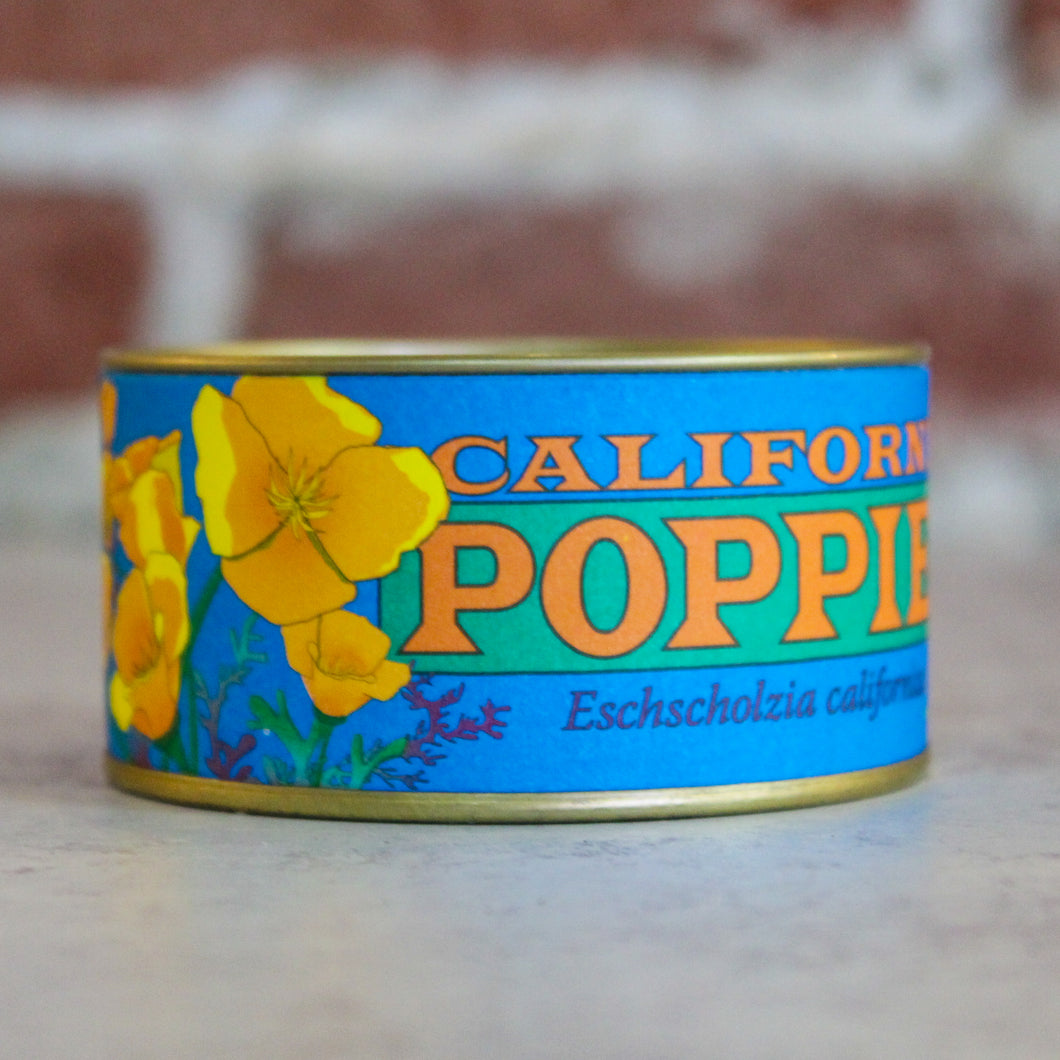 California Poppy Seed Kit