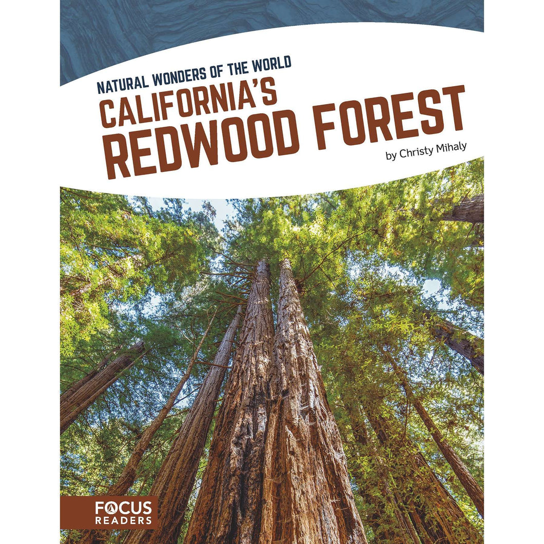 California's Redwood Forest
