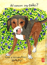 Load image into Gallery viewer, Makino Studios Greeting Cards
